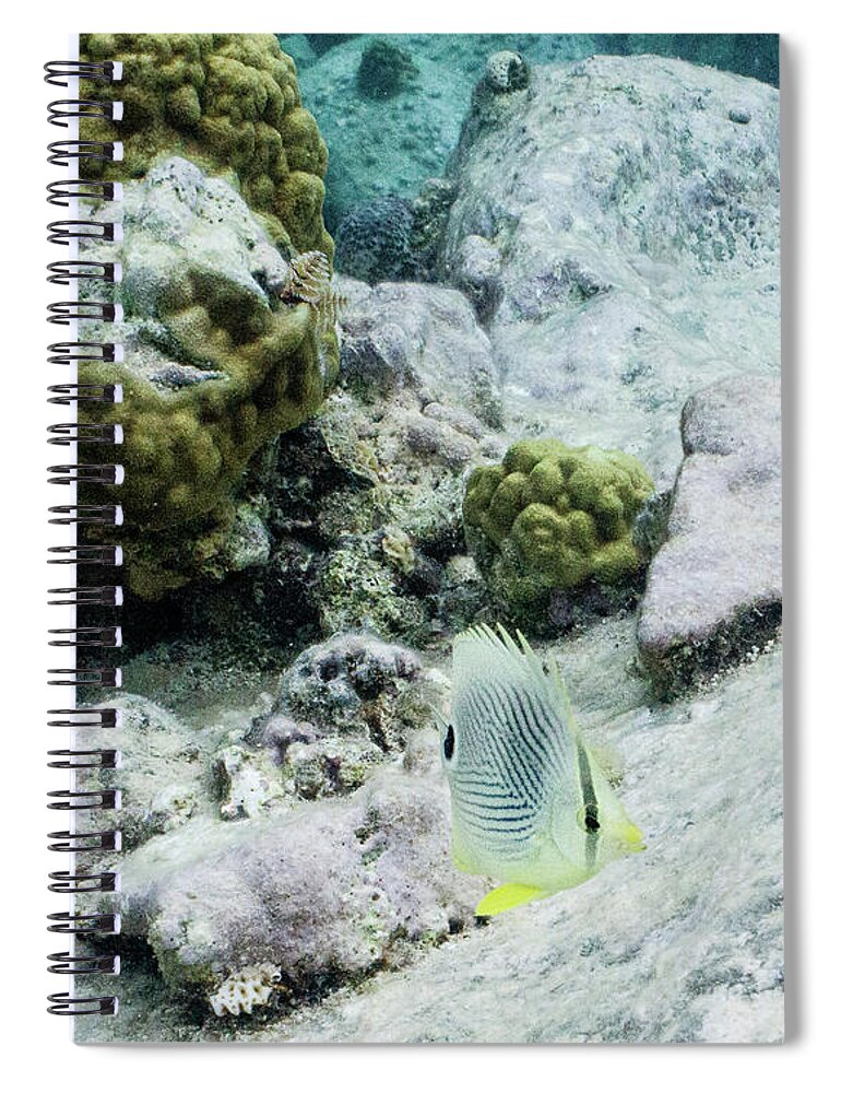 Animals Spiral Notebook featuring the photograph Little Bit by Lynne Browne
