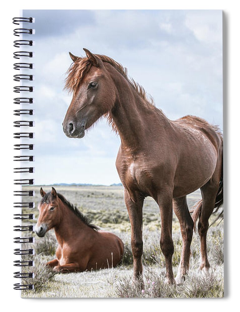 Photographs Spiral Notebook featuring the photograph Little bit of sass - Horse Art by Lisa Saint