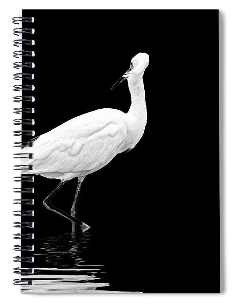 Bird Photography Spiral Notebook featuring the photograph Little Egret Dance in BW by Perla Copernik