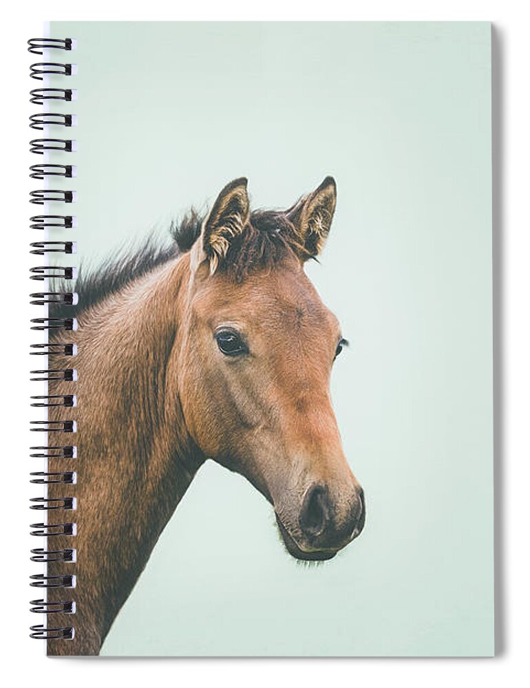 Photographs Spiral Notebook featuring the photograph Little Rebel - Horse Art by Lisa Saint