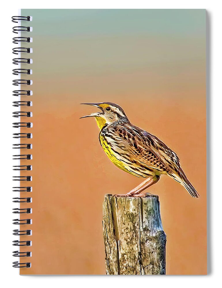 Eastern Meadowlark Spiral Notebook featuring the photograph Little Songbird by HH Photography of Florida