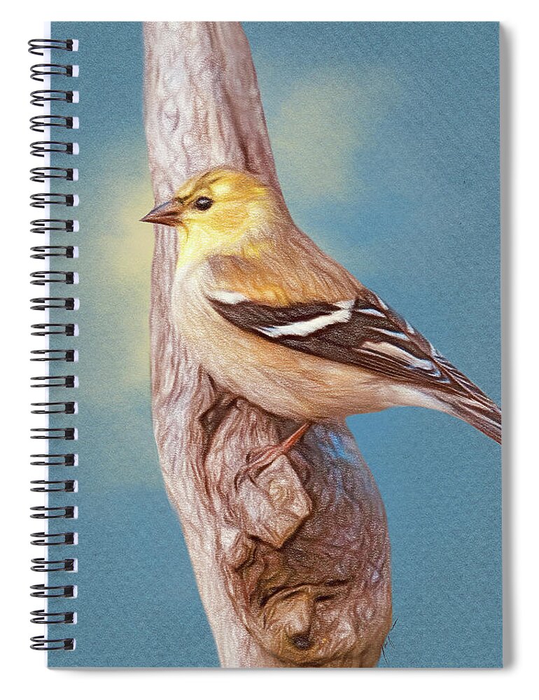 Bird Spiral Notebook featuring the drawing Little Yellow Goldfinch by Jai Johnson