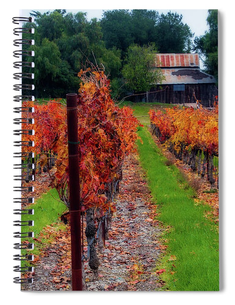 Vineyard Spiral Notebook featuring the digital art Livermore Vineyard by Terry Davis