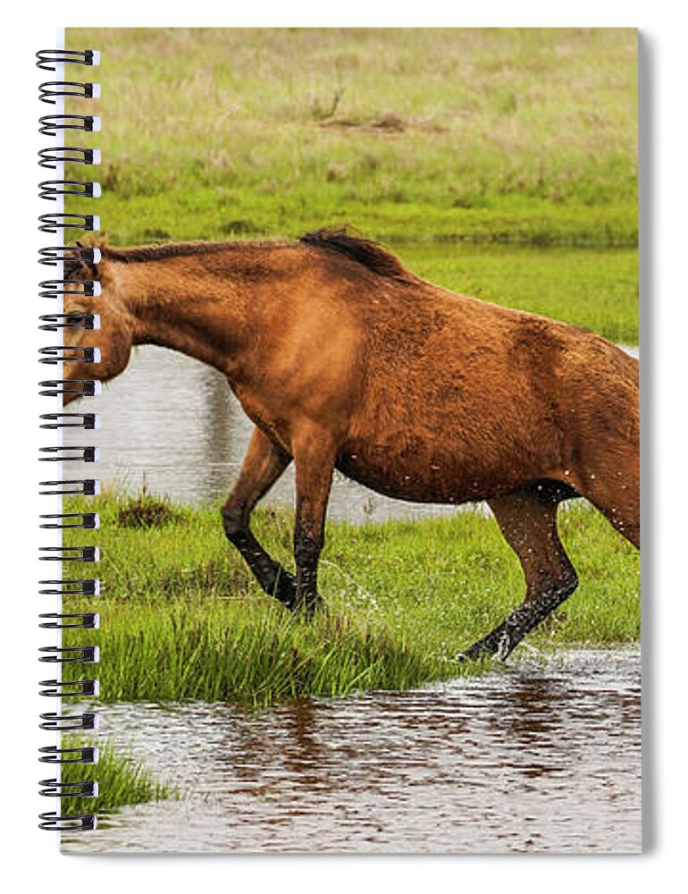 Assateague Spiral Notebook featuring the photograph Liz's Serenity by Dale R Carlson