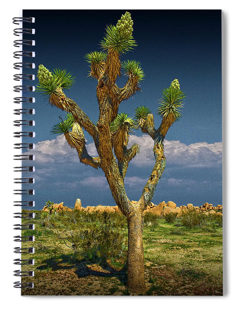 California Spiral Notebook featuring the photograph Lone Joshua Tree in Joshua Tree National Park by Randall Nyhof