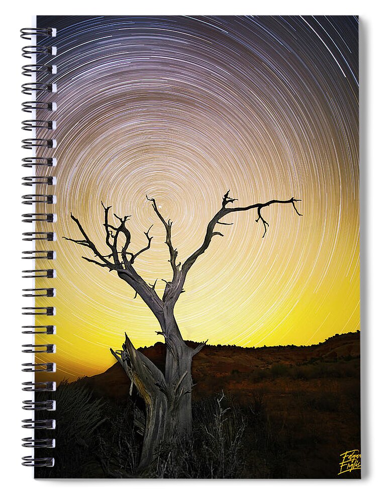 Amaizing Spiral Notebook featuring the photograph Lone Tree by Edgars Erglis
