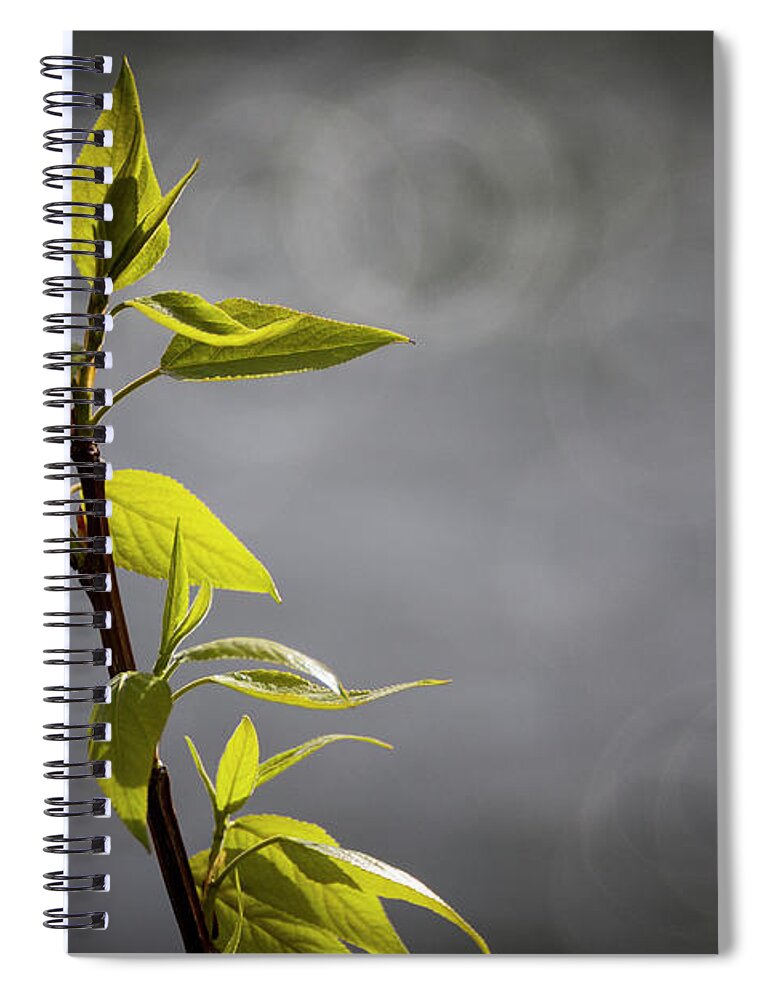 Dv8.ca Spiral Notebook featuring the photograph Lonely by Jim Whitley