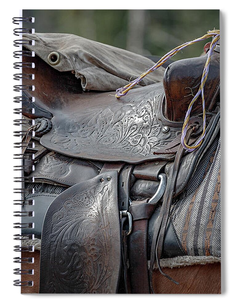 Black Cactus Spiral Notebook featuring the photograph Lonely Saddle by Steve Kelley