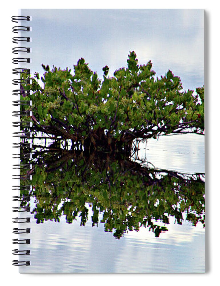 Merritt Island Spiral Notebook featuring the photograph Lonely Tree by Bill Barber