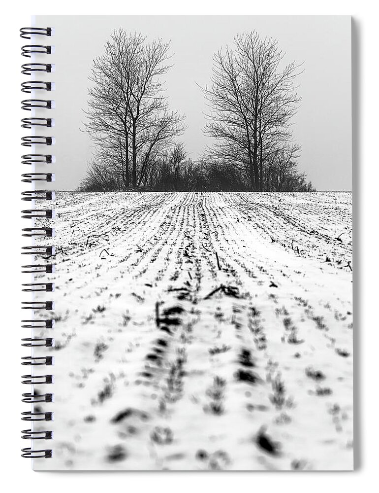 Trees Spiral Notebook featuring the photograph Lonely trees by Mike Santis