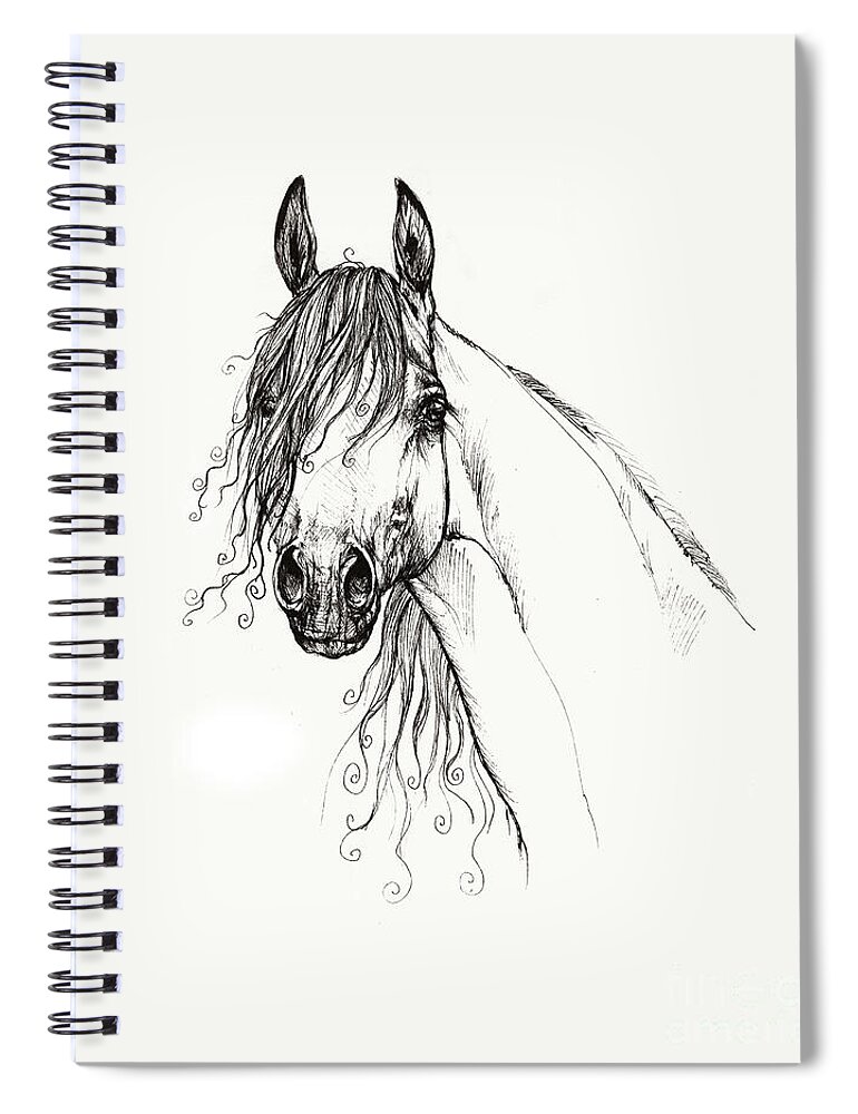 Horse Spiral Notebook featuring the drawing Arabian horse head 2011 02 14 by Ang El