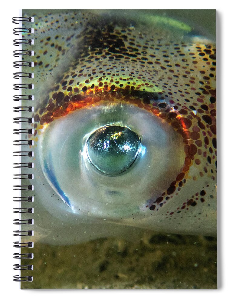 Squid Spiral Notebook featuring the photograph Longfin Squid eye by Brian Weber