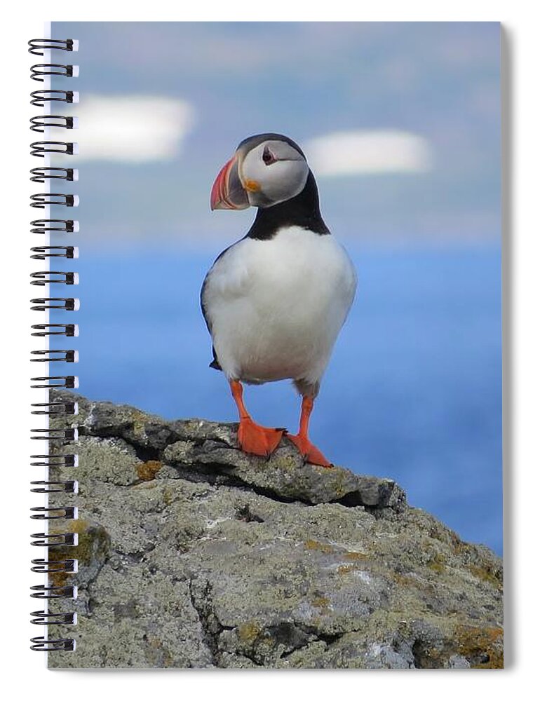 Puffin Spiral Notebook featuring the photograph Look at Me by World Reflections By Sharon