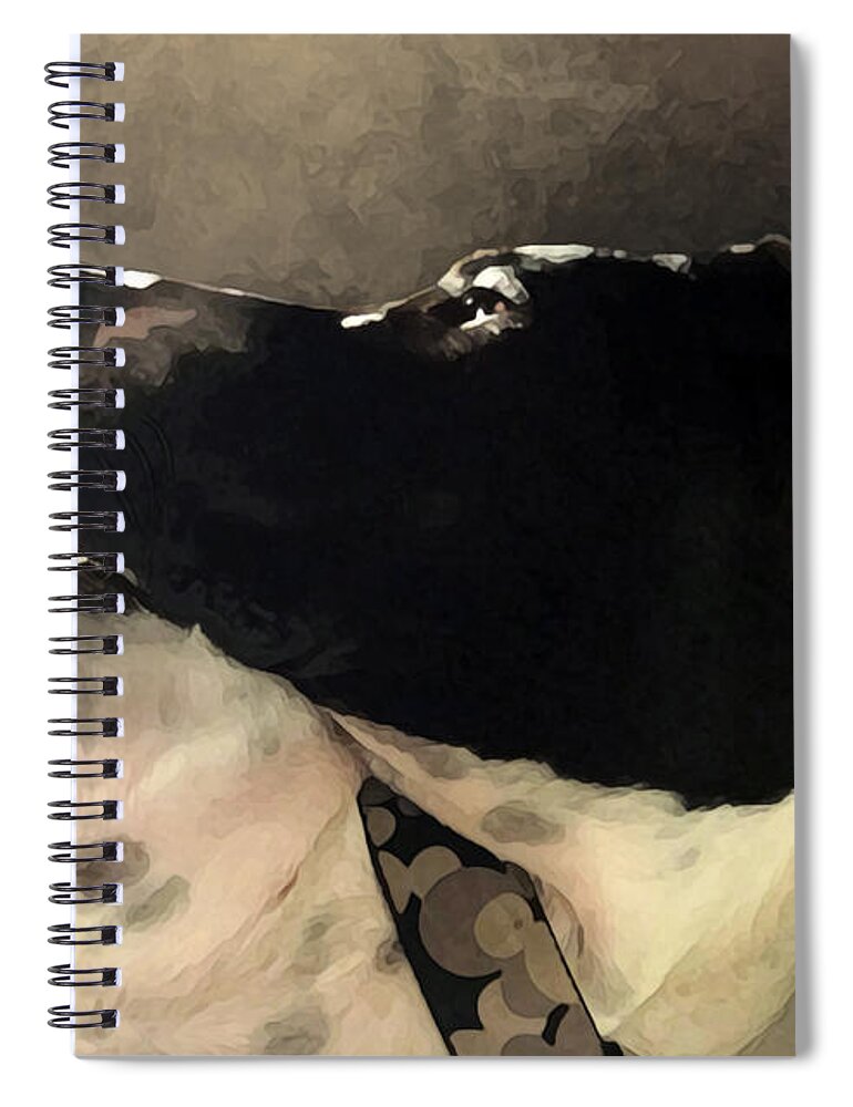 Tucker Spiral Notebook featuring the photograph Look for the Light by Anthony Jones