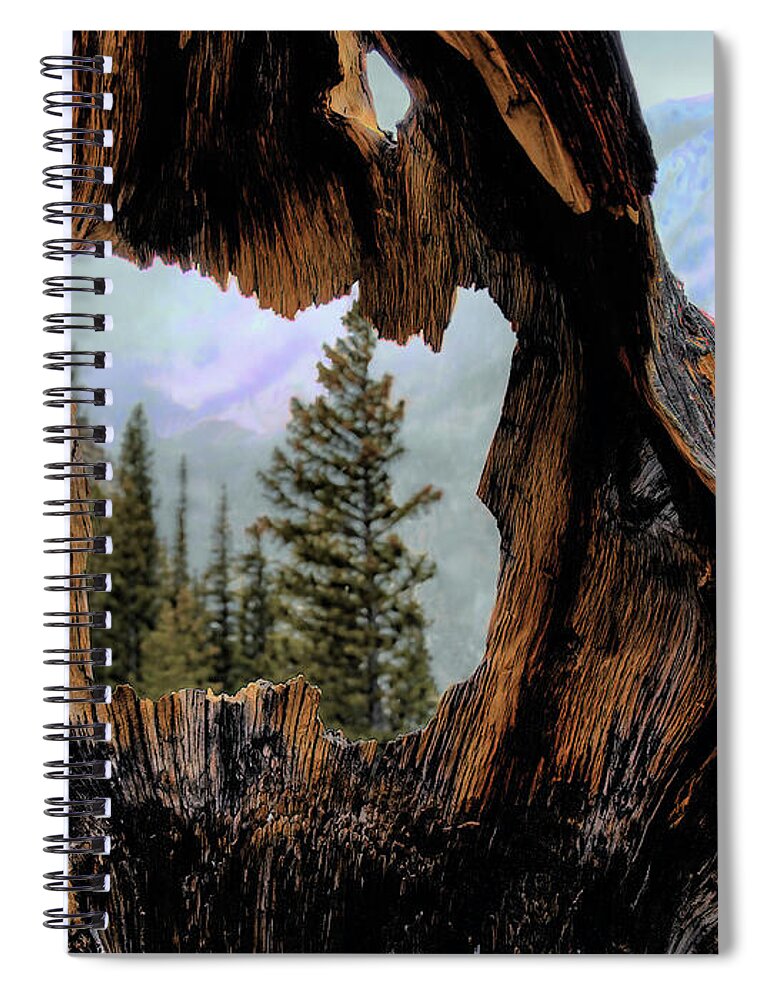 Heart Spiral Notebook featuring the photograph Look Into The Heart by Jim Hill