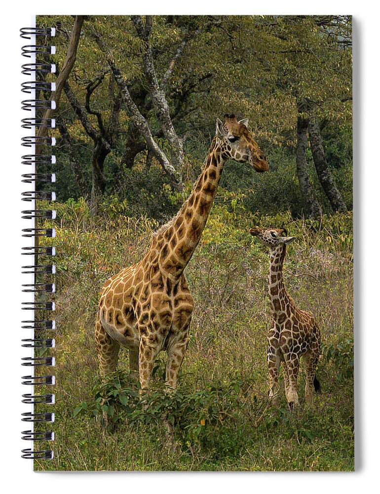 Africa Spiral Notebook featuring the photograph Looking Up to Mom by Laura Hedien