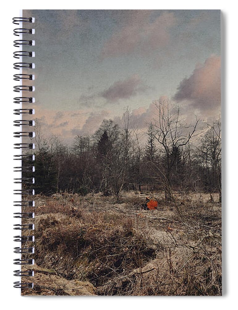 Land Spiral Notebook featuring the photograph Lost in the forest by Yasmina Baggili