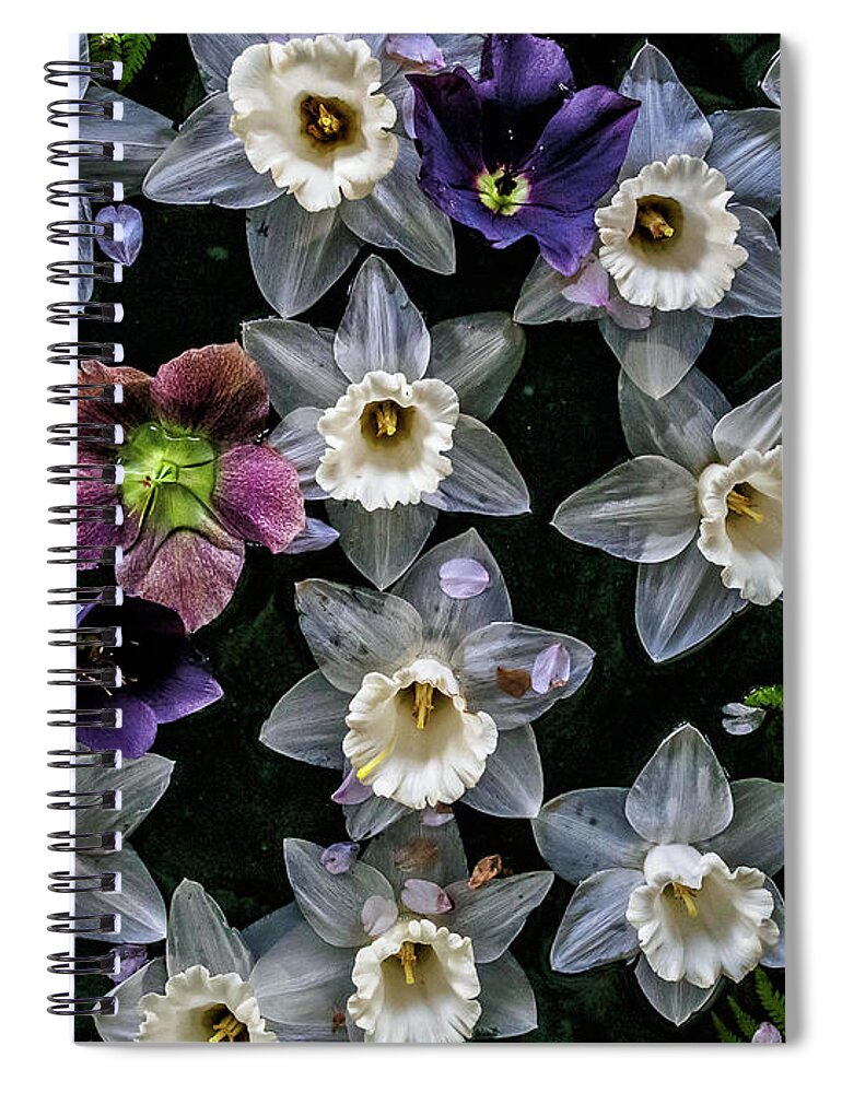 Daffodils Spiral Notebook featuring the photograph Lots of Daffodils by Louis Dallara
