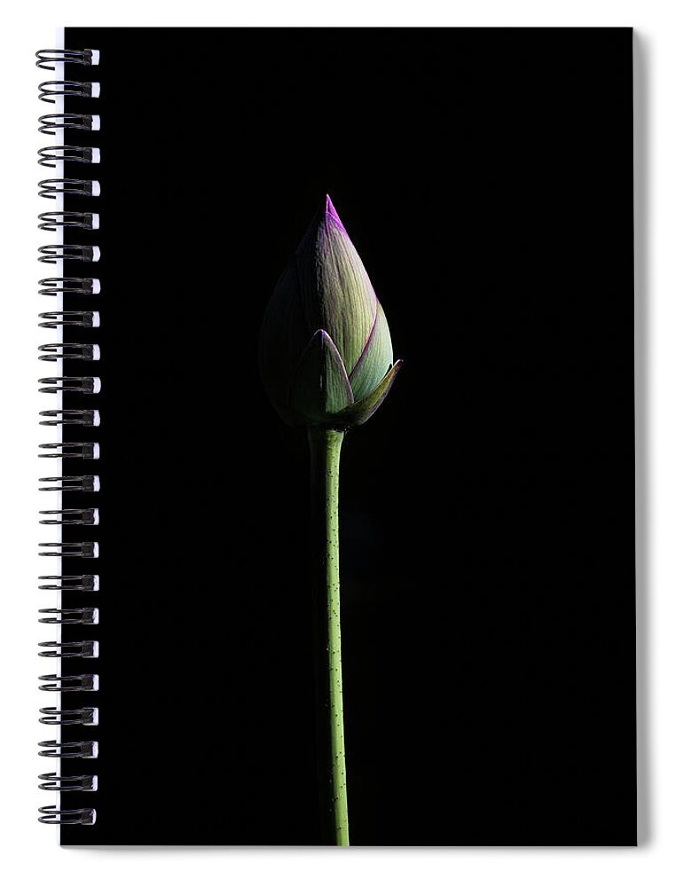 Lotus Spiral Notebook featuring the photograph Lotus Bud by Gary Geddes