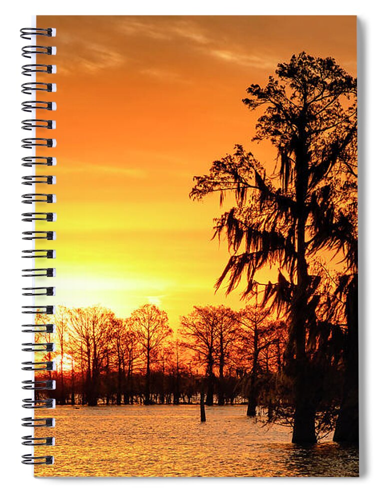 Atchafalaya Basin Spiral Notebook featuring the photograph Louisiana Gold by Andy Crawford