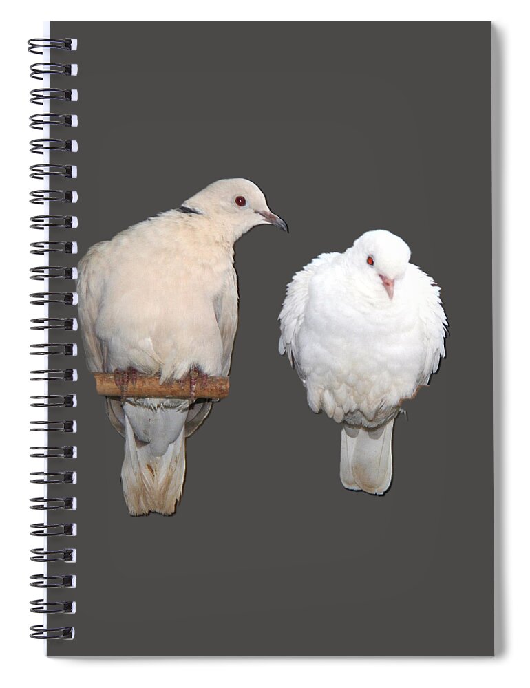 Dove Spiral Notebook featuring the photograph Love at frist sight by Andrea Lazar