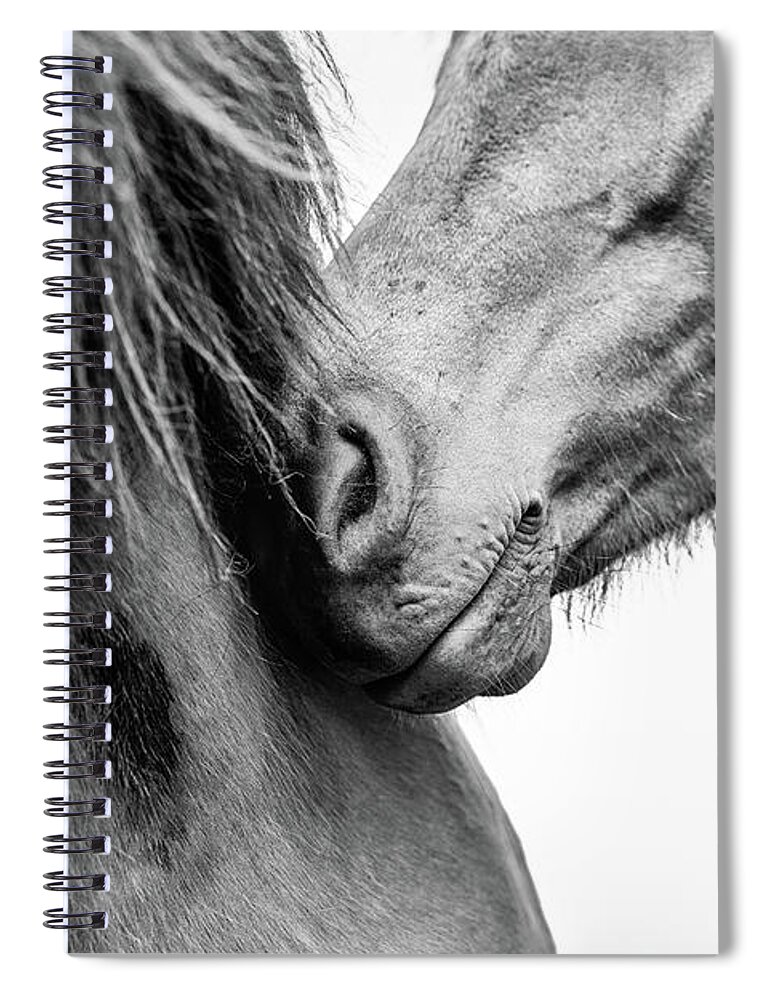 Horse Spiral Notebook featuring the photograph Love II - Horse Art by Lisa Saint