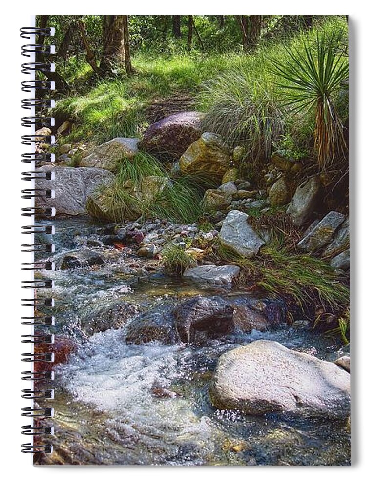 Arizona Spiral Notebook featuring the photograph Love Is Here To Stay by Lucinda Walter