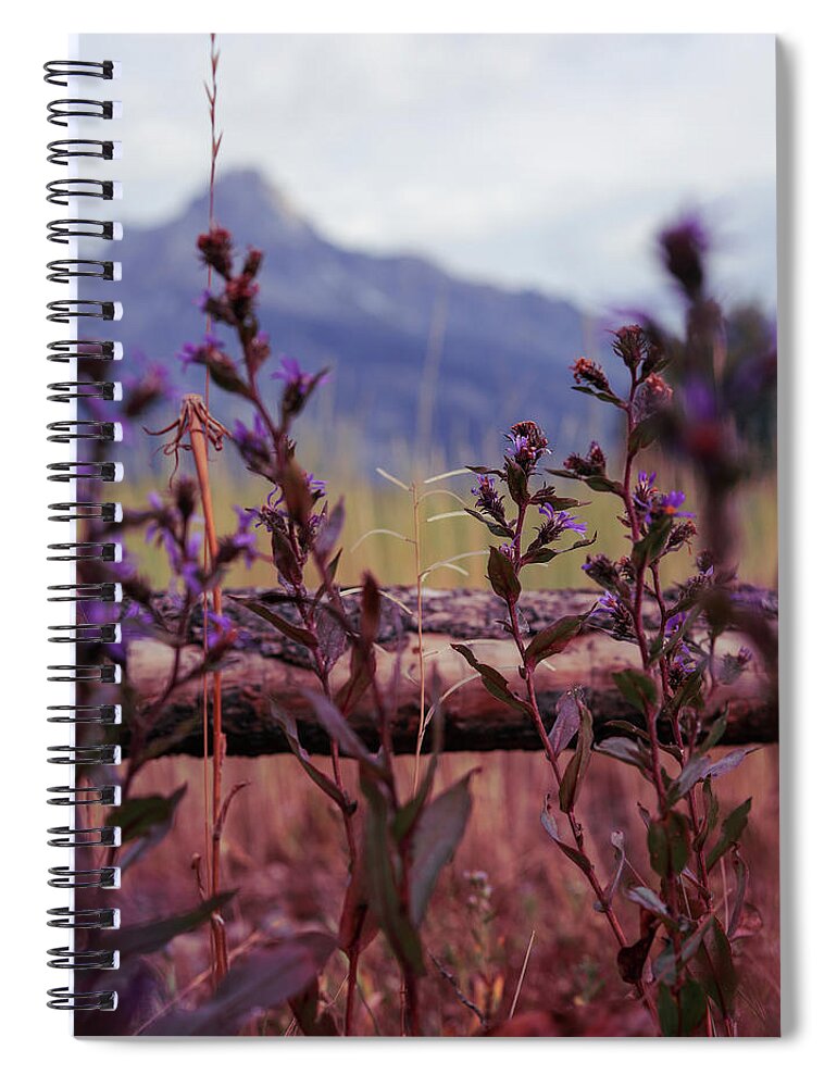 Mountain Spiral Notebook featuring the photograph Lovely Lavender in Front by Go and Flow Photos