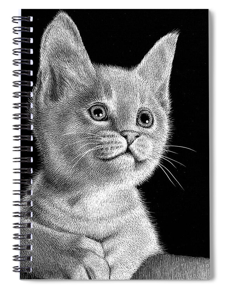 Kitten Spiral Notebook featuring the drawing Loving Gaze by Sheryl Unwin