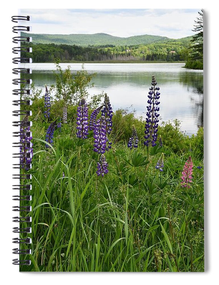 Sugar Hill Spiral Notebook featuring the photograph Lupines at the Lake by Steve Brown