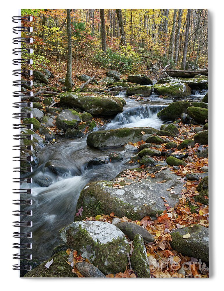 Middle Prong Trail Spiral Notebook featuring the photograph Lynn Camp Prong 14 by Phil Perkins