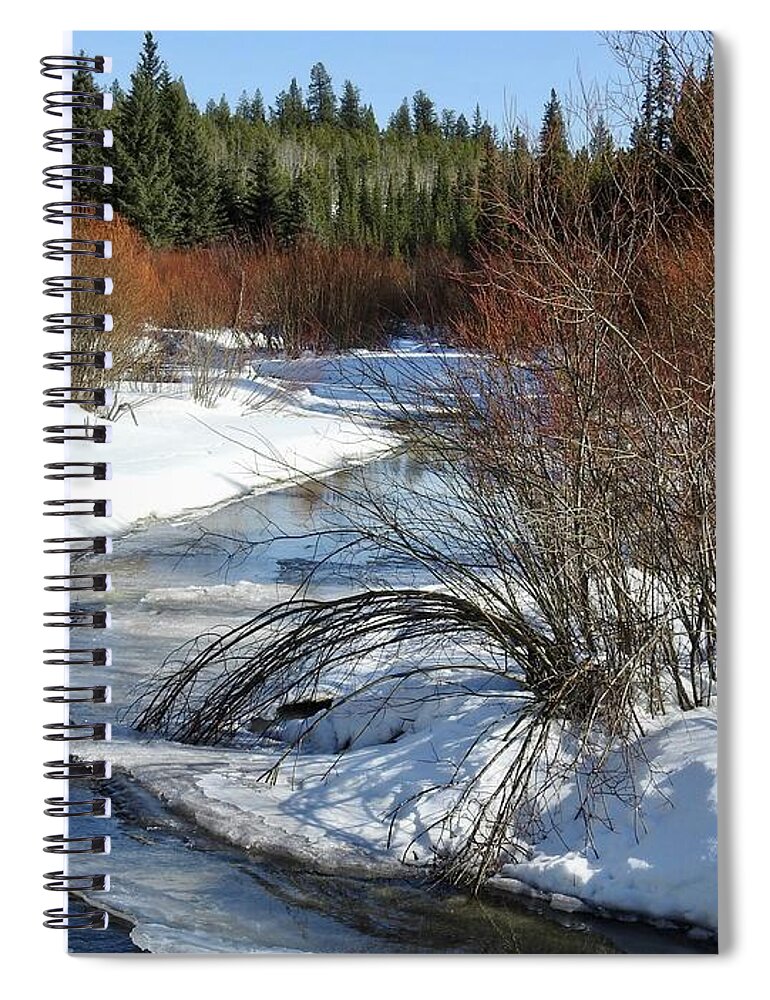 Creek Spiral Notebook featuring the photograph Mackin Creek in March by Nicola Finch