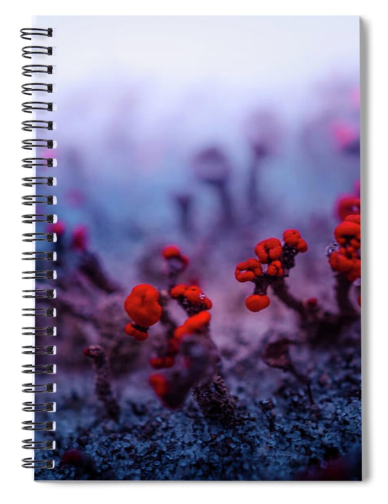 Macro Spiral Notebook featuring the photograph Macro of Moss on Dunes by Lilia S
