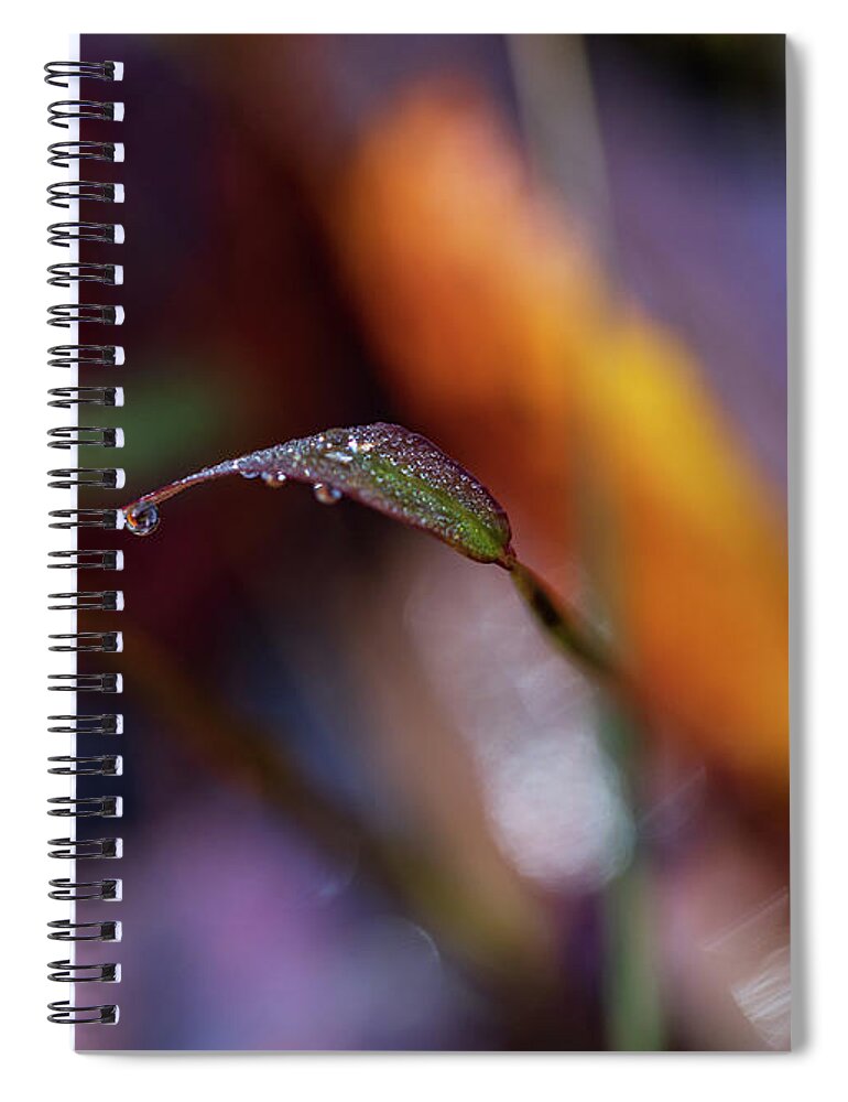 Fall Spiral Notebook featuring the photograph Macro Photography - Fall Foliage by Amelia Pearn