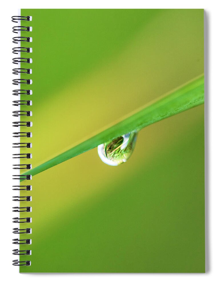Plants Spiral Notebook featuring the photograph Macro Photography - Rain Drop by Amelia Pearn