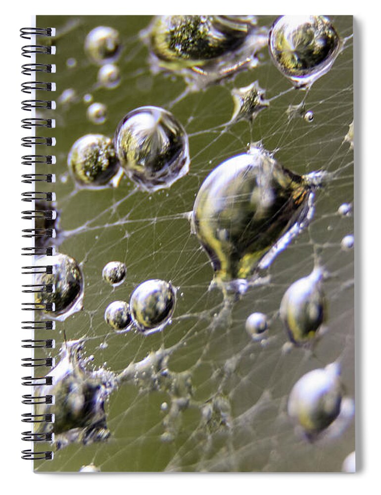 Spider Spiral Notebook featuring the photograph Macro Photography - Spiderweb Dewdrops by Amelia Pearn