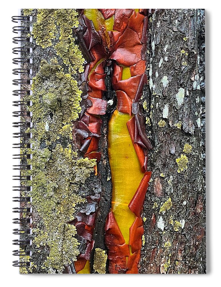 Abstract Spiral Notebook featuring the photograph Madrone Tree Bark Abstract by Jerry Abbott