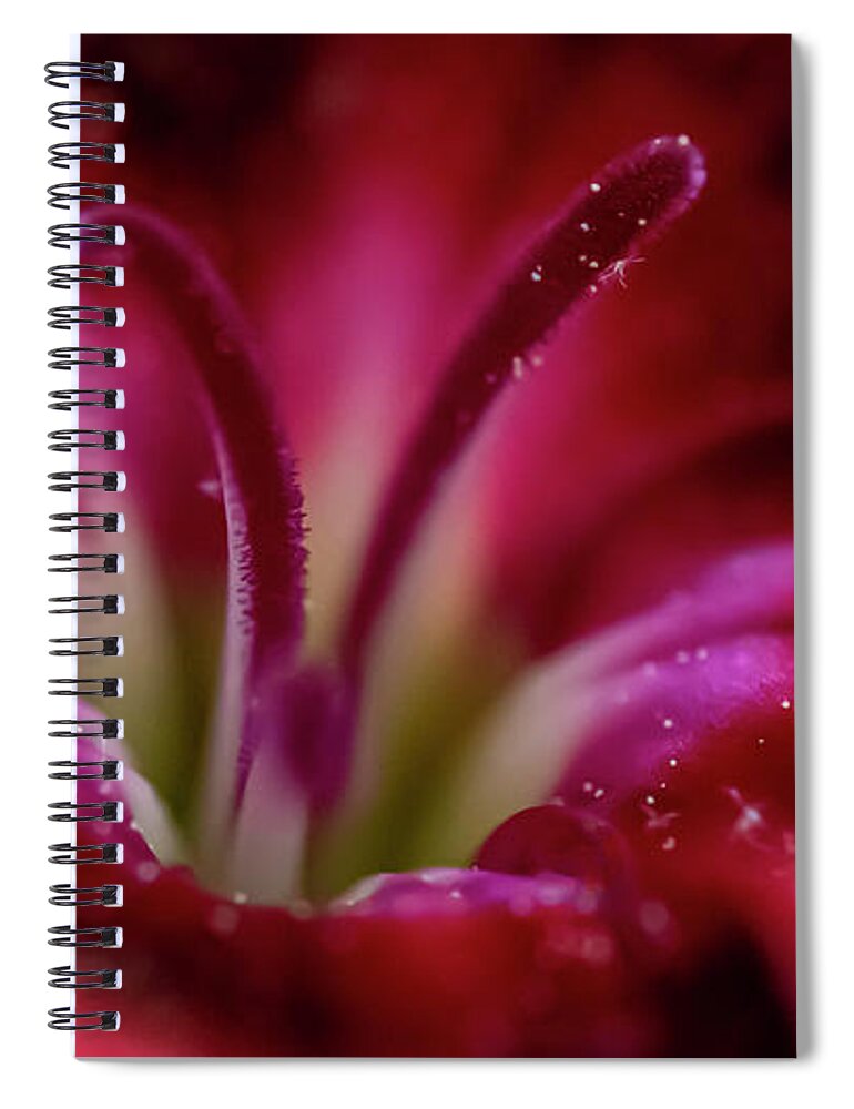Floral Spiral Notebook featuring the photograph Magenta Macro by Cathy Kovarik