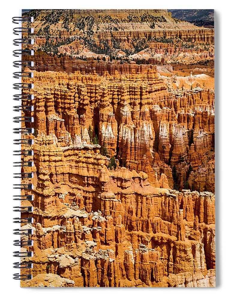 Bryce Canyon Spiral Notebook featuring the photograph Magic Eye by Erin Marie Davis