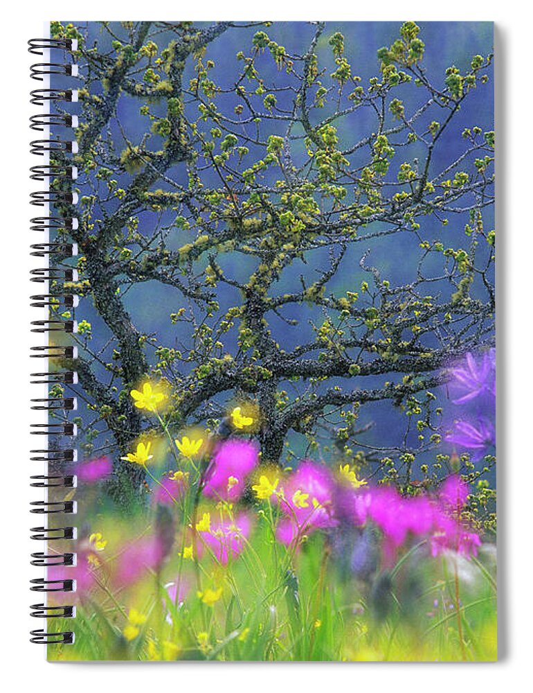 Garry Oak Meadow Spiral Notebook featuring the photograph Magic Meadow by Michael Wheatley