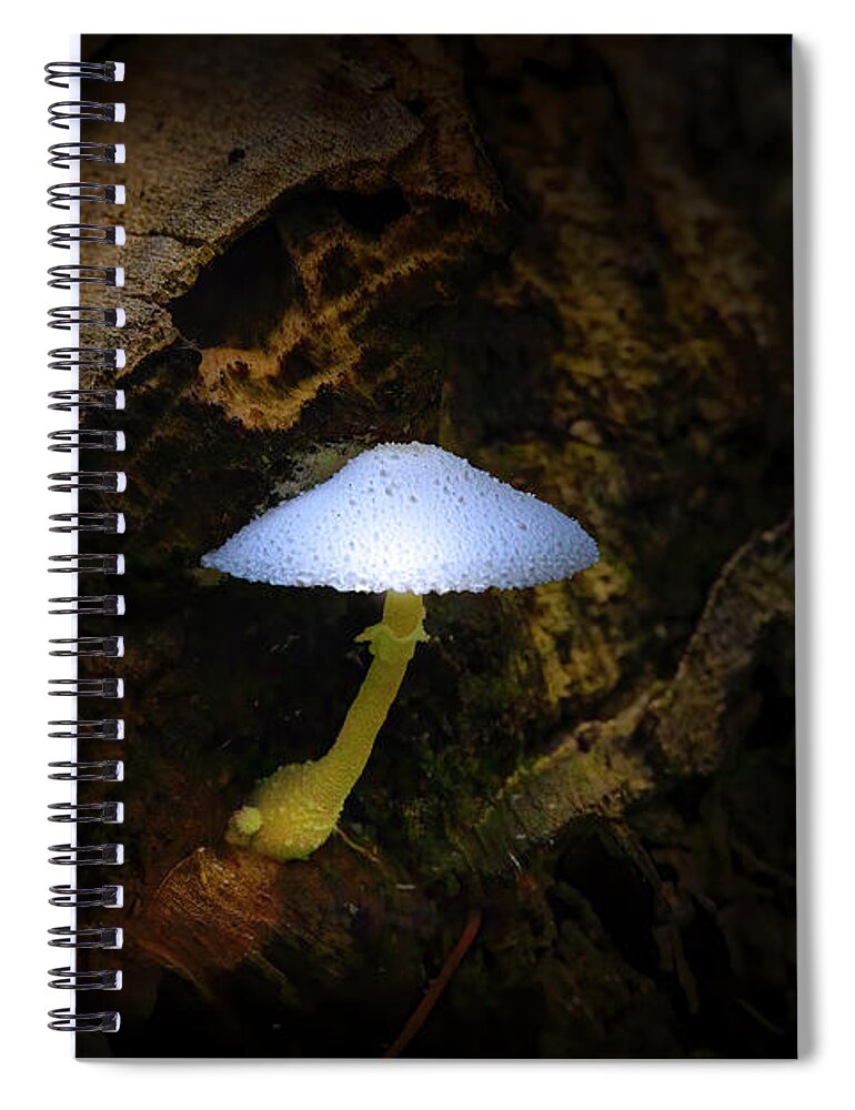 Mushrooms Spiral Notebook featuring the photograph Magic Mushroom by Mark Andrew Thomas