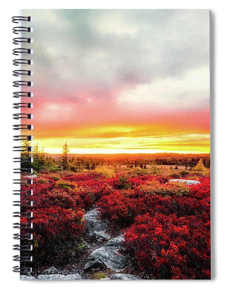 Landscape Spiral Notebook featuring the photograph Magic of Autumn by C Renee Martin