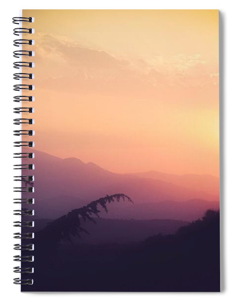 Tree Spiral Notebook featuring the photograph Magic Tree SUNSET by Auranatura Art