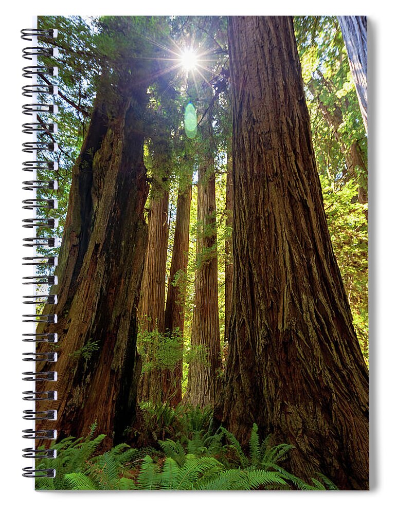 Peaceful Spiral Notebook featuring the photograph Magical by Rick Furmanek