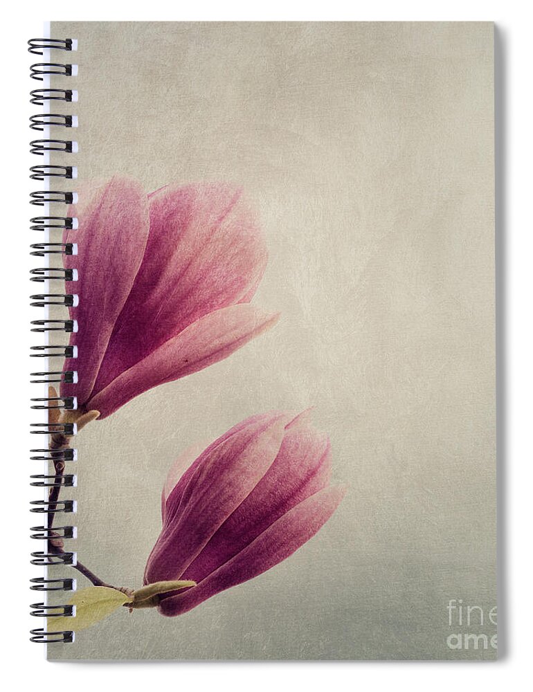 Magnolia Spiral Notebook featuring the photograph Magnolia flower on art texture by Jelena Jovanovic