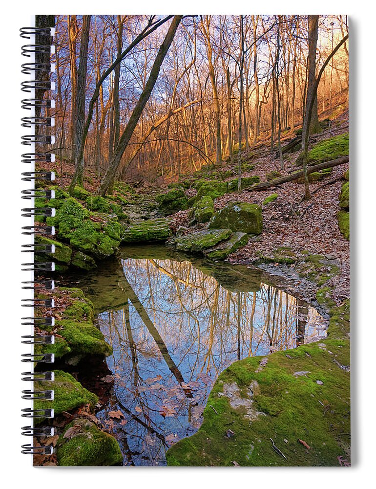 Ste. Genevieve County Spiral Notebook featuring the photograph Magnolia Hollow Conservarion Area by Robert Charity