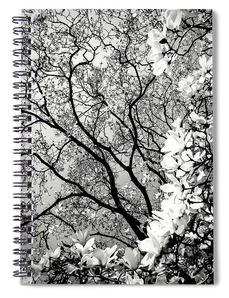Magnolia Majestique Spiral Notebook featuring the photograph Magnolia Majestique by Susan Maxwell Schmidt