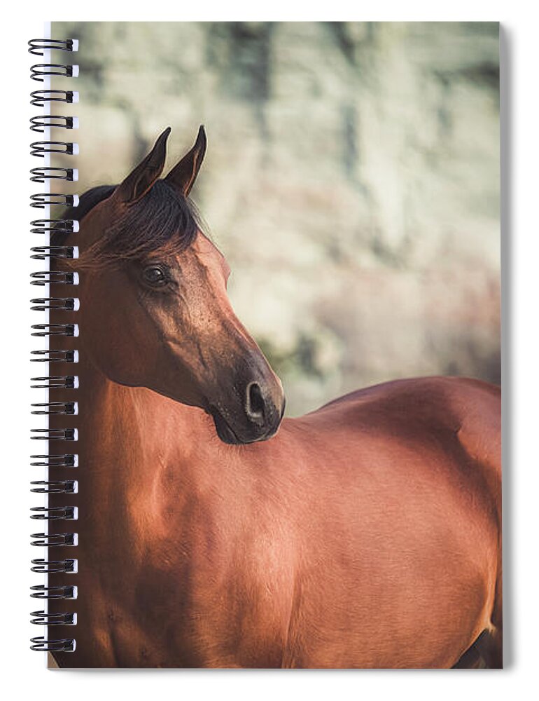 Photographs Spiral Notebook featuring the photograph Magnum II - Horse Art by Lisa Saint