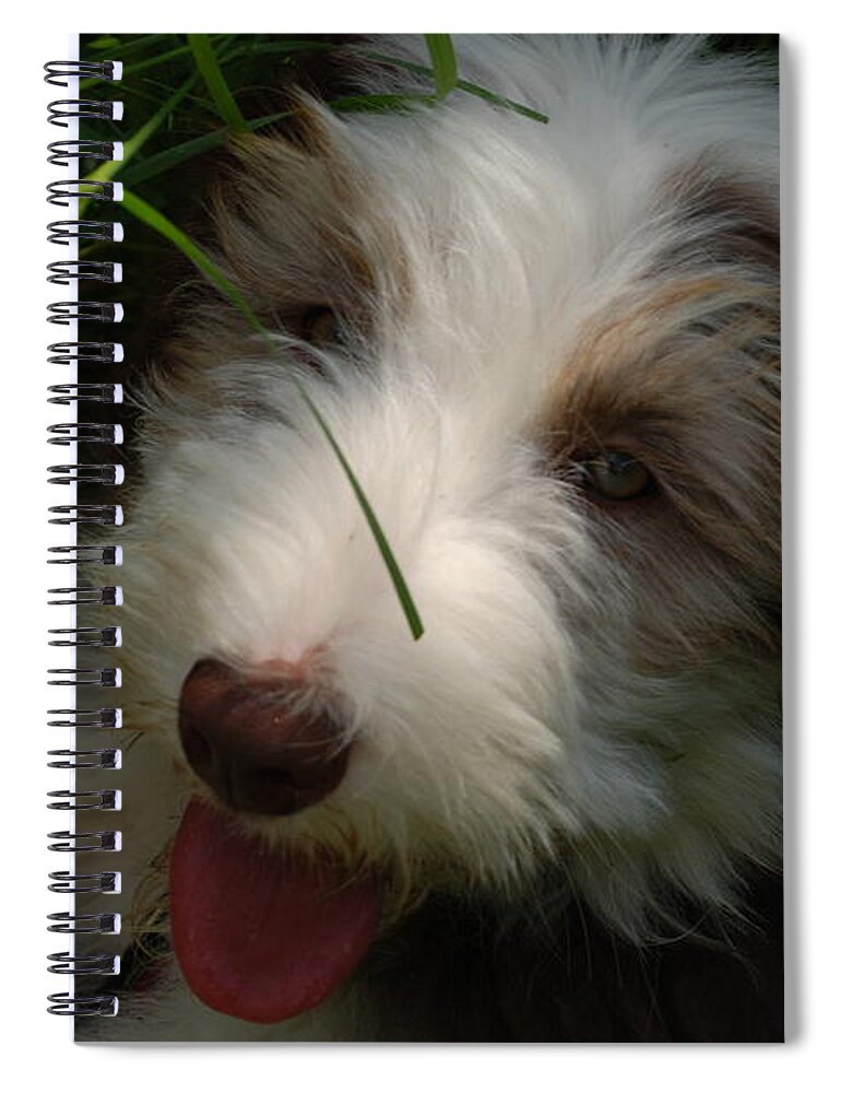 Animals Spiral Notebook featuring the photograph Maisie #1 by Mark Alan Perry
