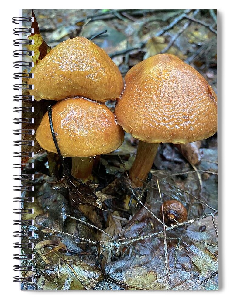 Mushroom Spiral Notebook featuring the photograph Majestic Mushrooms #2 by Anjel B Hartwell